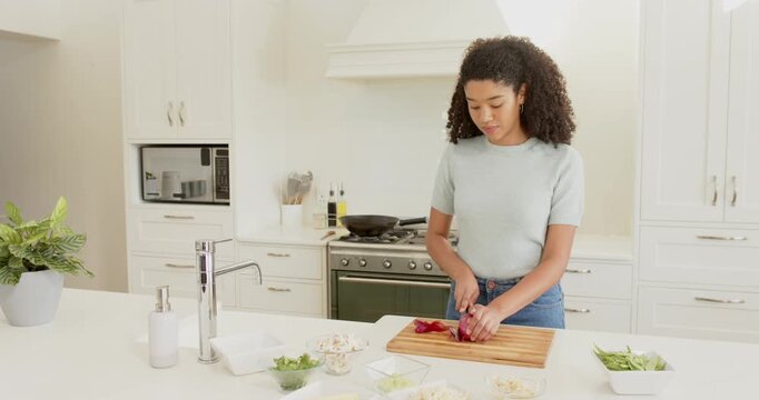 Lifestyle videos indoor of people doing activities at home, chopping vegetables, woman preparing mea