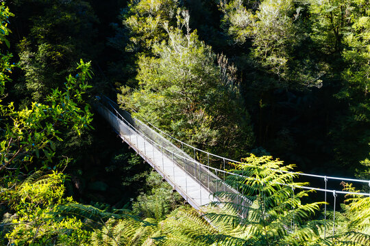 Suspension bridge on the Fern Gully Track in Tarra Bulga National Park Gippsland Victoria Australia