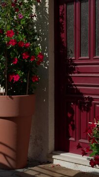 hand holds out a set of keys in front of a burgundy wooden door, beside a terracotta pot of red mandevilla flowers on a sunny doorstep