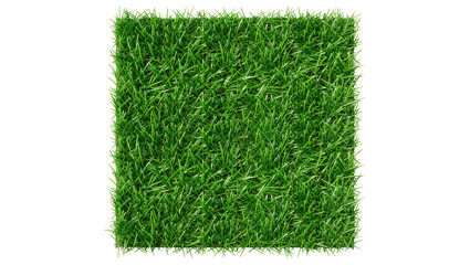 Square patch of vibrant green grass, isolated on transparent background © studiox