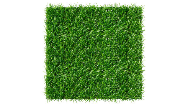 Square patch of vibrant green grass, isolated on transparent background