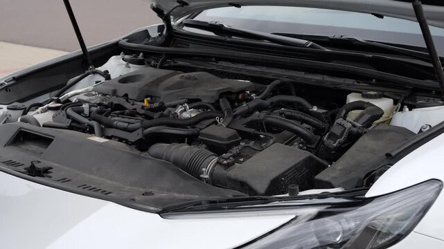 Driver inspecting the engine compartment after opening the hood during routine vehicle maintenance