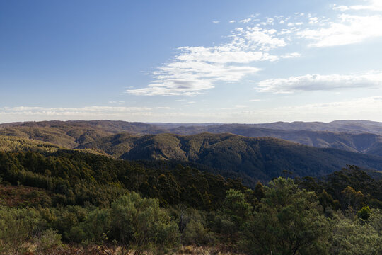 Panoramic view of forested mountains and rolling hills of Tarra Bulga National Park Australia