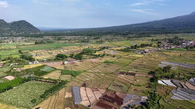 Sweeping aerial view of terraced rice paddies with patchwork fields and rural settlements at Pronojiwo, East Java, Indonesia