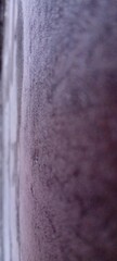 Abstract purple textured surface with a soft gradient and subtle granular detail in dim lighting © Hendra