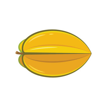Ripe Yellow Starfruit Illustration - Exotic Carambola Tropical Fruit Vector Isolated on White Background