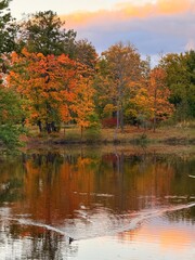 Obraz premium colorful autumn trees reflection on the lake surface, golden fall in the park