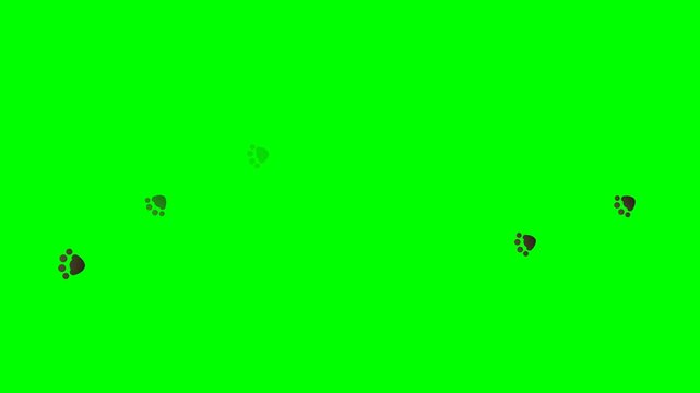 Animated cat paw prints appearing sequentially to form a winding trail from right to left, simulating an invisible cat walking. Rendered on a green screen background.