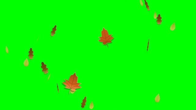 Cinematic 12-second seamless loop of autumn leaves falling in slow motion under golden hour lighting. Twenty-five leaves in three species &mdash; maple, oak, and birch &mdash; descend gracefully with smooth 3D fl