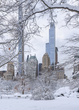 Winter view of Central Park in New York City with Midtown Manhattan skyline and Billionaires Row skyscrapers in the background