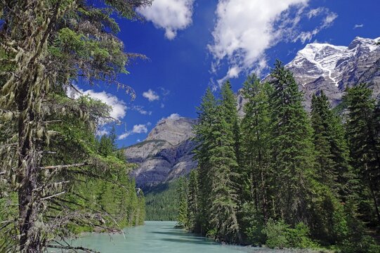 Picturesque mountain landscape with emerald green river, surrounded by tall, dense trees and clear blue sky, Mount Robson Provincial Park, Rocky Mountains, Canada