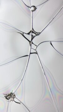 Microscopic view of chicken egg white droplet as it dries and forms cracks, with natural iridescent interference patterns and rainbow-like color bands appearing across thin protein film