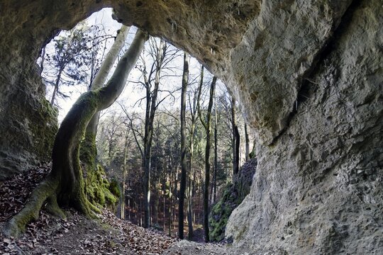 Collapsed cave near Elbersberg chapel, Elbersberg, Pottenstein town, Franconian Switzerland, Upper Franconia, Franconia, Bavaria, Germany