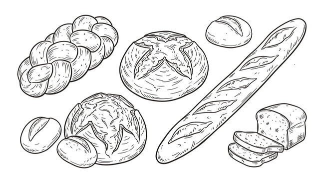 Hand drawn set of various fresh baked bread loaves including baguette and braided bread in a simple black line style