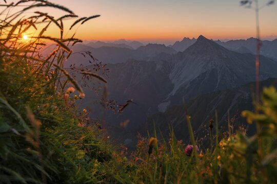 Sunrise over Lechtal Alps with mountain meadow, Elmen, Lechtal Alps, Au&szlig;erfern, Tyrol, Austria