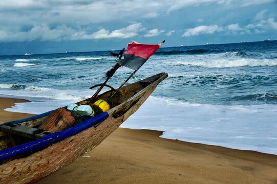 SONY DSC