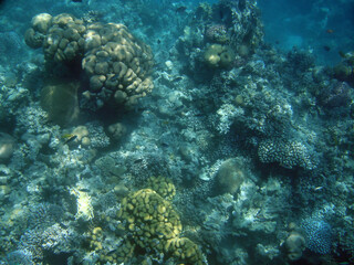 Photo of deep sea © Tarek