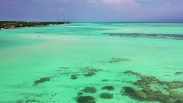Turquoise lagoon and tropical coast in Zanzibar