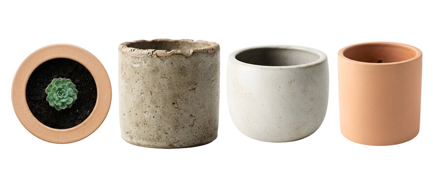 Various empty ceramic flower pots and one terracotta pot containing small green succulent plant isolated on transparent background
