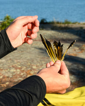 Hands examining a fan of northern flicker feathers with yellow shafts above granite shore and blue water on Georgian Bay, Ontario, Canada