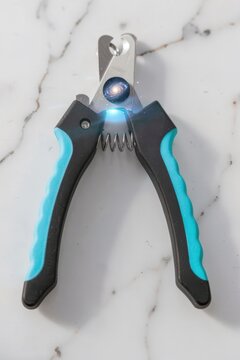 Creative concept photo of nail clippers on white background