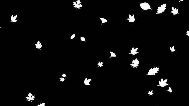 Vibrant autumn leaves gracefully falling on a rich dark background, celebrating the beauty of fall