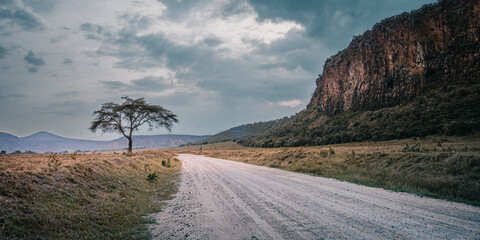 Empty safari road leading to an acacia tree and rocky cliff © Даниил Остролуцкий