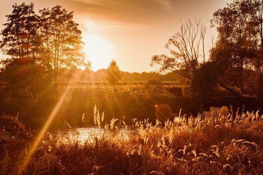 Autumnal landscape at the lake in warm sunlight