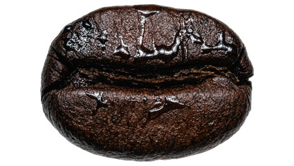 Obraz premium Dark roasted coffee bean with water droplets, isolated on transparent background