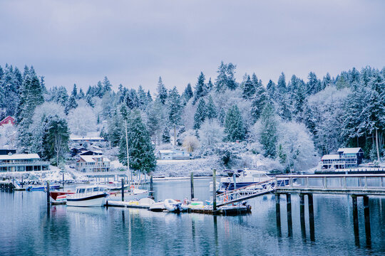 Boats docked at marina in snowy pine forest winter landscape