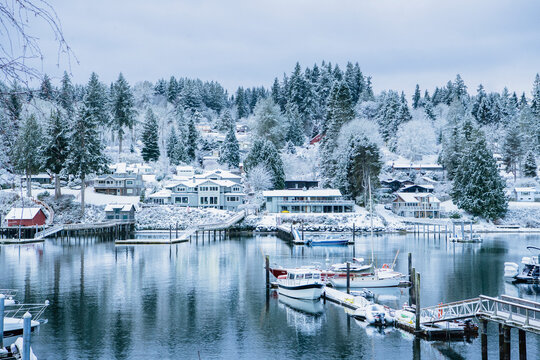 Boats docked in snowy marina with winter houses and trees in wa USA