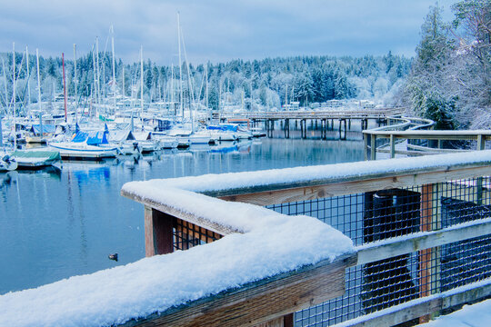 Marina with boats docked in snowy winter at WA, USA