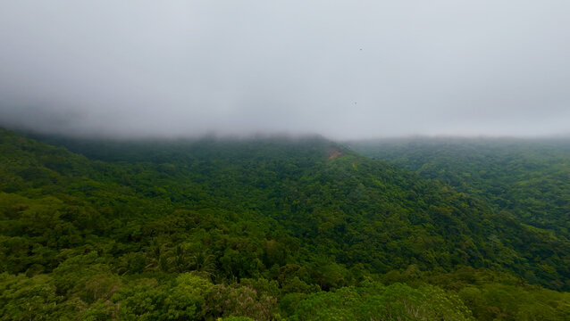 A mountain range covered by a thick blanket of low clouds. Dense green forest fades into the mist across the rolling ridges.