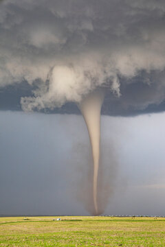Fully Condensed Tornado touching down over farmland