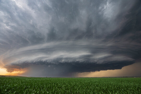 Supercell storm with tornado warning at Sunset over a cornfield