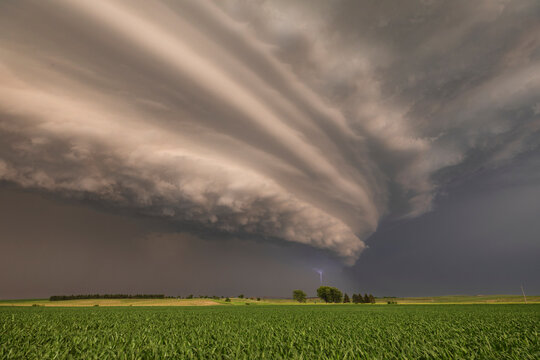 Supercell storm with lightning above corn field at Sunset in nebraska