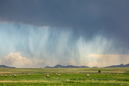 Rain curtain falling over green hay bales scattered across grassland