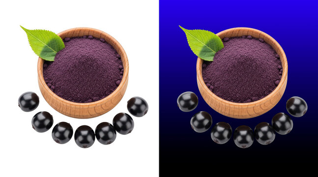 Black elderberry powder with fresh berries and leaf