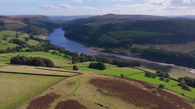 Aerial video sweeping across open grassy slopes, heather moorland, and dry stone walls toward the winding Derwent Reservoir bordered by dense pine forests in Derbyshire, UK. 