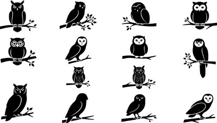 Obraz premium set vector various owl, owl sitting on a tree branch silhouettes 