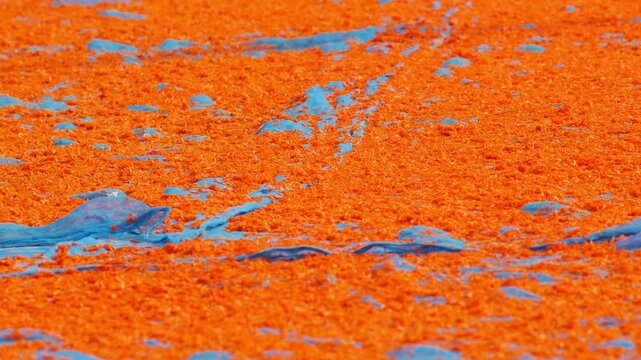 Tiny orange dried shrimp sun-drying on blue fishing net, close-up texture of traditional Thai coastal seafood preservation, colorful vibrant food ingredient background