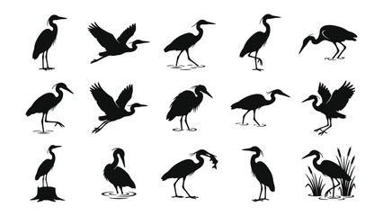 Obraz premium Heron Silhouettes Collection: A comprehensive set of black silhouettes depicting herons in various poses, including standing, flying, and hunting, set against a clean backdrop.
