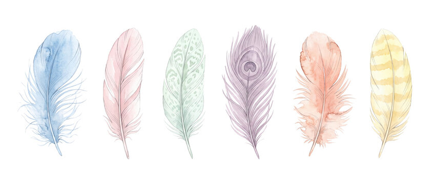 Watercolor feather set pastel boho watercolor illustration of delicate soft bird feathers, peacock plumage, tribal bohemian decorative elements isolated on black background for craft graphic design.