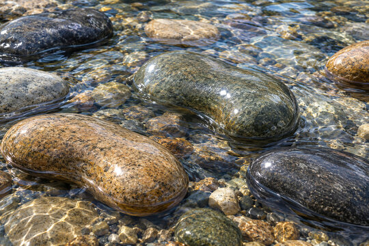 Smooth kidney-shaped river stones resting in clear water, natural rounded forms with wet glistening surfaces under soft daylight.