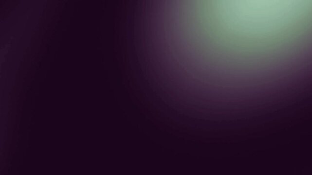 4k light leak real in camera effect puple color 4k tamplate