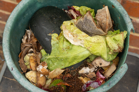 Close-up shot of kitchen food waste inside a composting bucket. The image features a mix of decomposing vegetable scraps, fruit peels, tea bags and coffee grounds. 