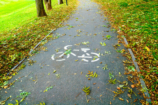 Autumn park background. A paved path with a white painted bicycle symbol. Fallen leaves scattered across the asphalt and green grass on the sides