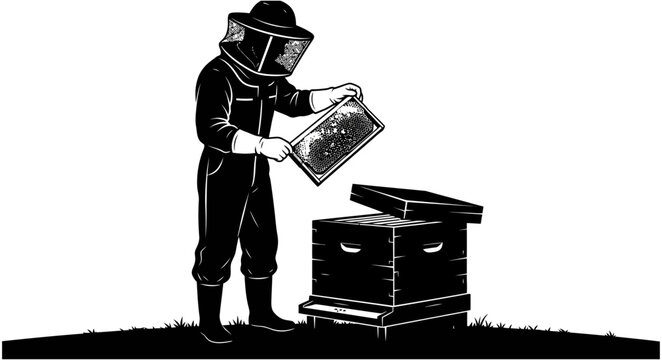 Black and white vector illustration of a professional beekeeper inspecting a honeycomb frame next to a wooden beehive box.