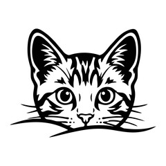 Fototapeta premium vector illustration of a cat