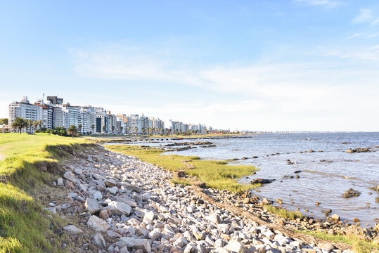 Waterfront Buildings and Public Beach on a Sunny Day in Montevideo, Uruguay